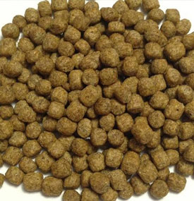 تغذية عائمة