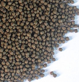 تغذية الغرق