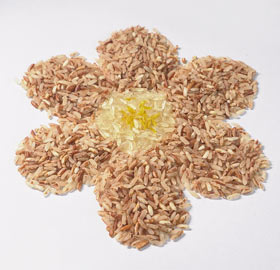 آلة صنع الأرز عالية الألياف