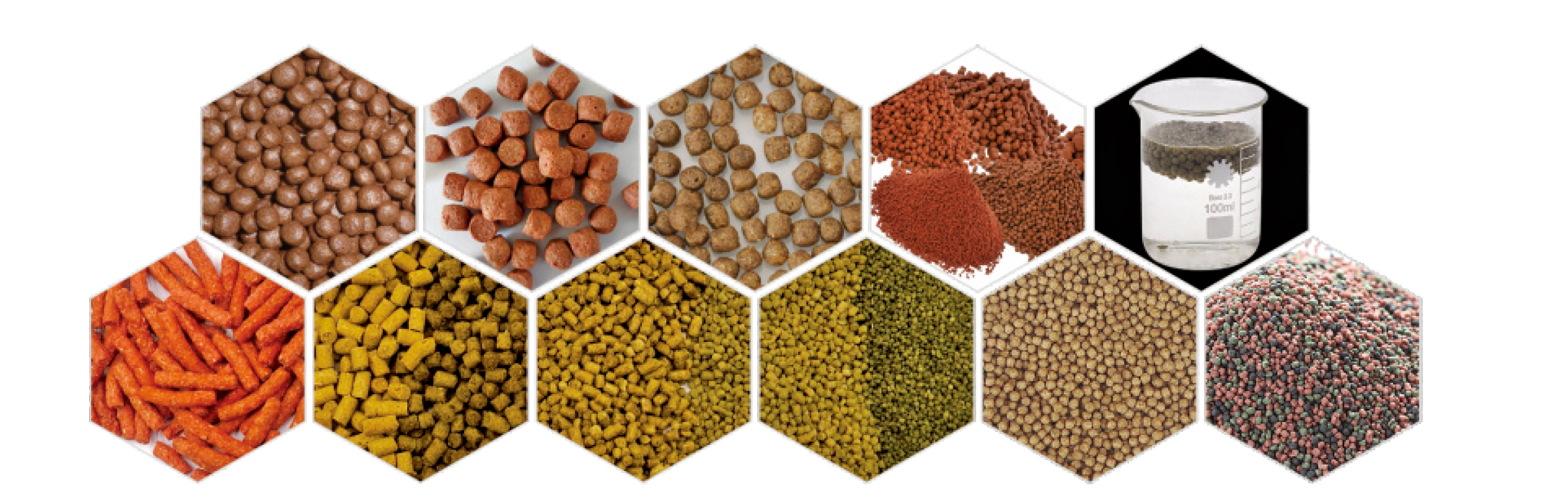 تغذية أكيتيك