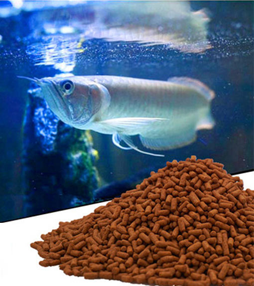 أعلاف الأسماك