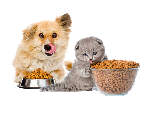 آلة أغذية الحيوانات الأليفة